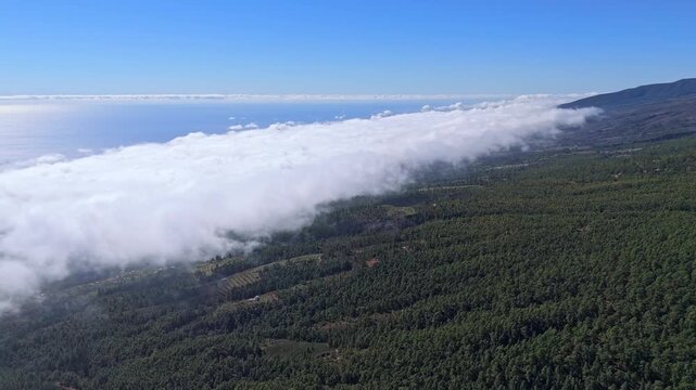 Aerial drone shot panning right over a magnificent sea of clouds on Tenerife, Canary Islands. The inversion spills over lush green mountains, revealing the vast ocean beyond.