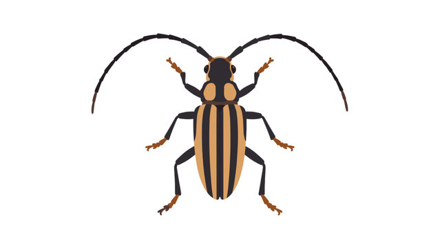 Striped longhorn beetle vector illustration on white background