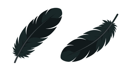 Black feather vector set isolated on white background © Artstock