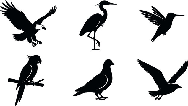 Wild birds black silhouette icon collection featuring flying eagle standing heron humming bird perched parrot pigeon and soaring seagull vector graphic elements