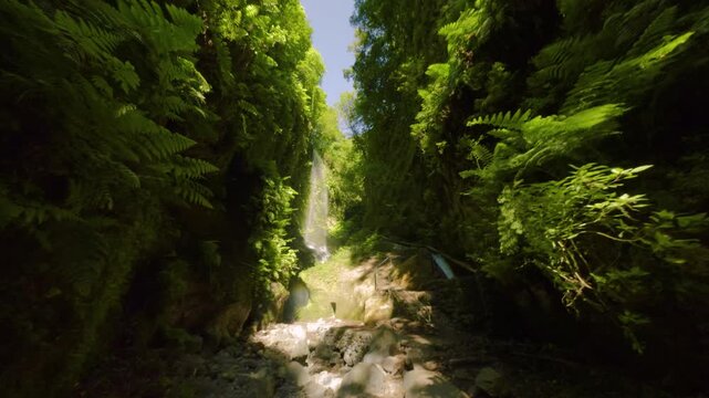 Los Tilos, La Palma, Canary Islands, Spain
