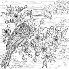 Obraz premium Toucan on a flowering branch.Coloring book antistress for children and adults. 