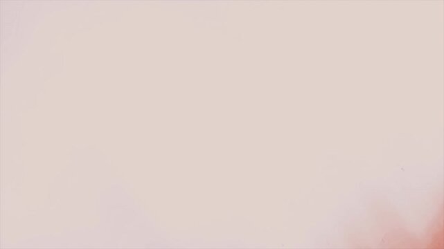 Abstract red and pink gradient motion background.