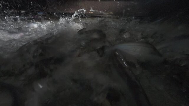 Extreme close-up of fish feeding frenzy in a river aquaculture farm, water splashing, slow motion 