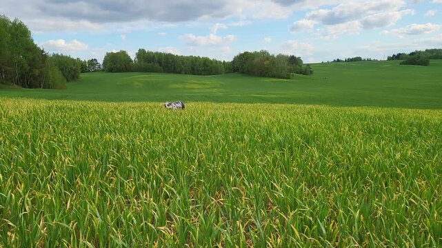 People walking through a green field on a sunny day in a rural area