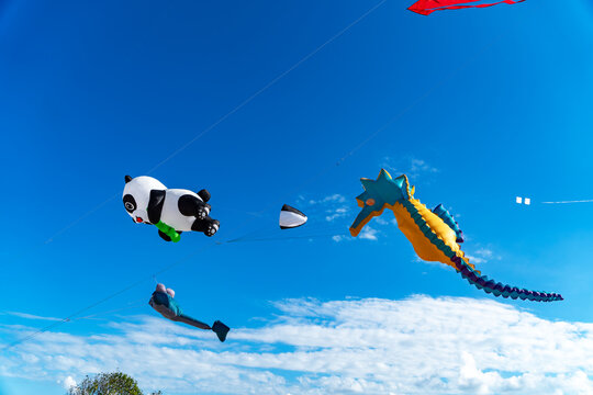 Giant inflatable panda and seahorse kites flying high against a bright blue sky with light clouds on a sunny day.