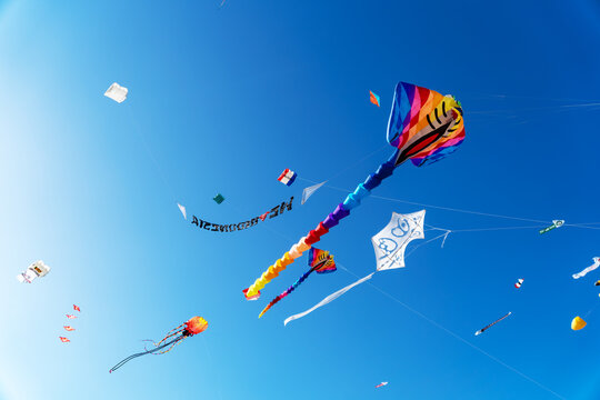 A giant colorful rainbow stingray kite with a long tail flying high in a clear blue sky during an outdoor kite festival.