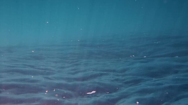 Underwater view of sun rays beaming through clear blue ocean water surface