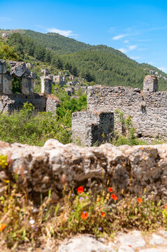 Red poppies and ruins of abandoned houses in the ghost village of Kayak&ouml;y, Turkey