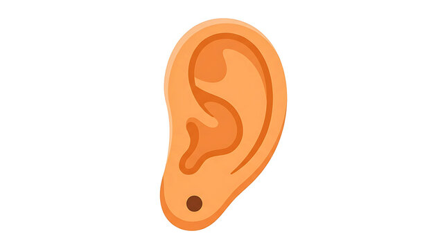 Human ear with piercing against a clean white backdrop for medical or fashion concepts