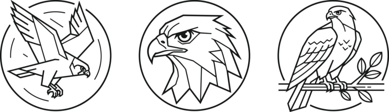 Eagle vector illustration set featuring modern minimalist circular flying hawk emblem and geometric bird badge icons