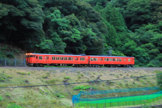 山深い夕刻の山陰本線を疾走するJR西日本キハ47形気動車_2026/6/20撮影