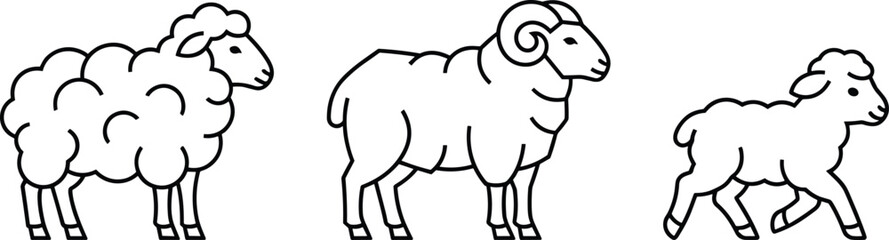 Sheep ram and lamb vector illustration set featuring modern minimalist outline farm animal icons isolated on white background © MdAlom