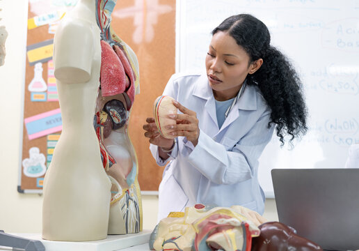 African American female scientist working and explaining with anatomy model in laboratory