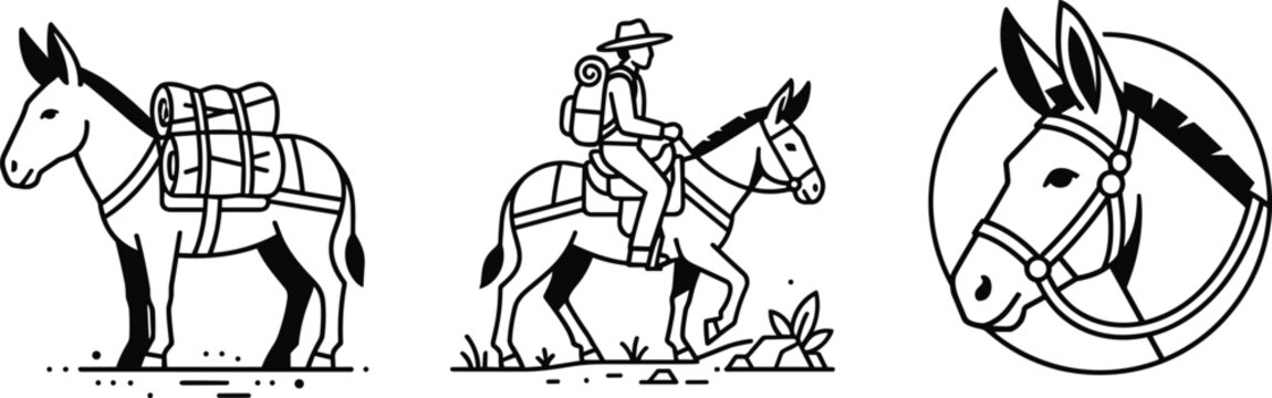Donkey vector illustration set featuring modern minimalist pack mule travel cargo and circular head icons