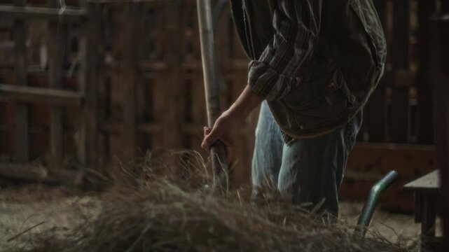Bearded male farmer using pitchfork to move dry hay inside animal stall as working in rustic wooden barn