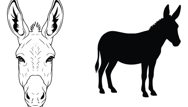 Black and white donkey illustration featuring portrait and full body silhouette