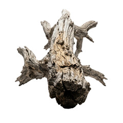 Fototapeta premium Old weathered driftwood log. Isolated rustic tree stump for nature design projects.