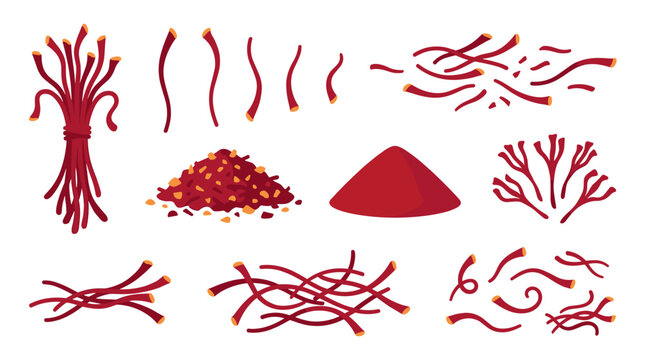 Set of saffron threads and powder spices, natural organic gourmet cooking ingredients, dried red stigmas, aromatic culinary seasoning elements