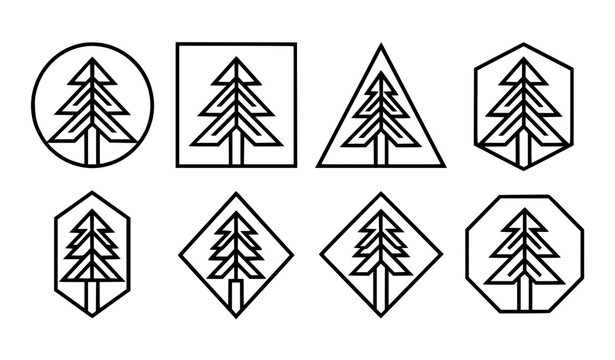 Evergreen pine tree thin line icons set featuring six stylized forest symbols in geometric vector frames