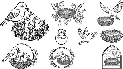 Fototapeta premium Bird Nest Collection with Mother Bird, Baby Chicks, Empty Nest and Spring Nature Line Art Vector SetBird Nest Collection with Mother Bird, Baby Chicks, Empty Nest and Spring Nature Line Art Vector Set