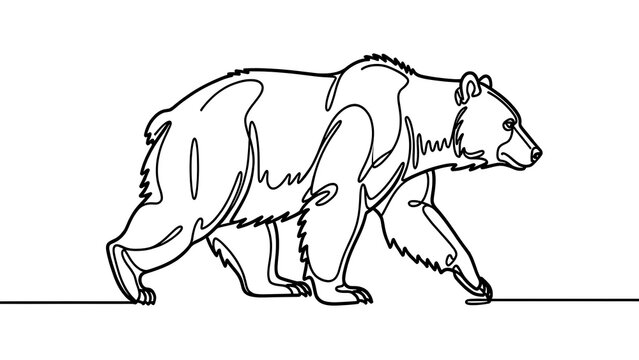 Minimalist bear line art illustration white background.