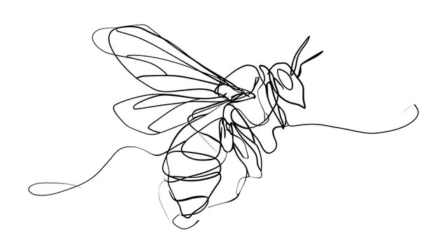 Minimalist line art bee drawing white background.