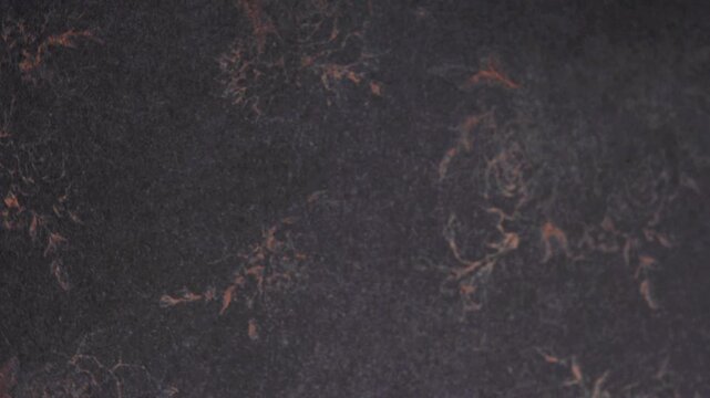 Macro Shot of Moody Copper Floral Rose Print on Dark Textured Background