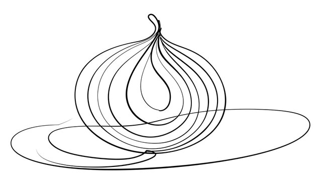 Minimalist onion line art illustration white background.