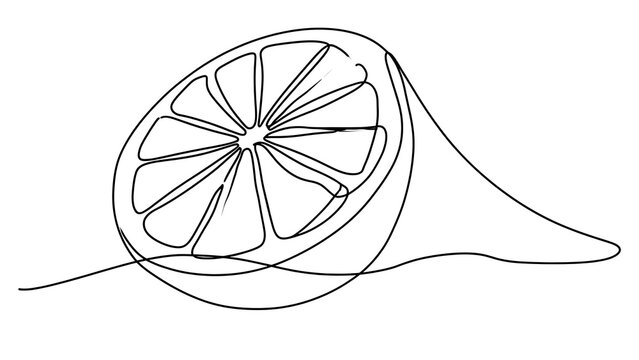 Simple line art lemon slice white background.