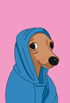 Vector illustration of a Cute Brown Dog Wrapped up in a Cozy Blue Hoodie against Pink Background