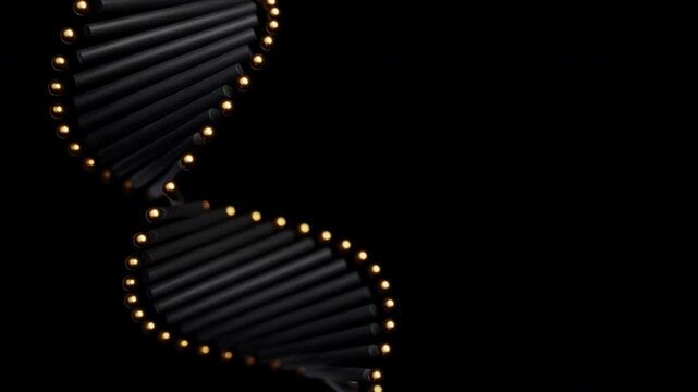 Abstract glittering gold DNA double helix rotating on a black background in a flowing circular composition. Mysterious futuristic genome science animation with depth of field. 4K UHD.