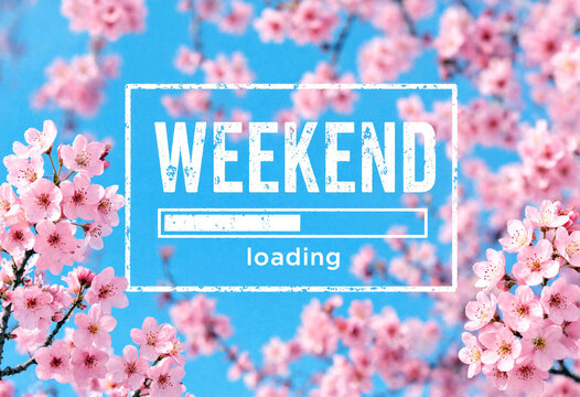 Beautiful pink blossoms framing a weekend loading progress bar sign in vibrant nature setting