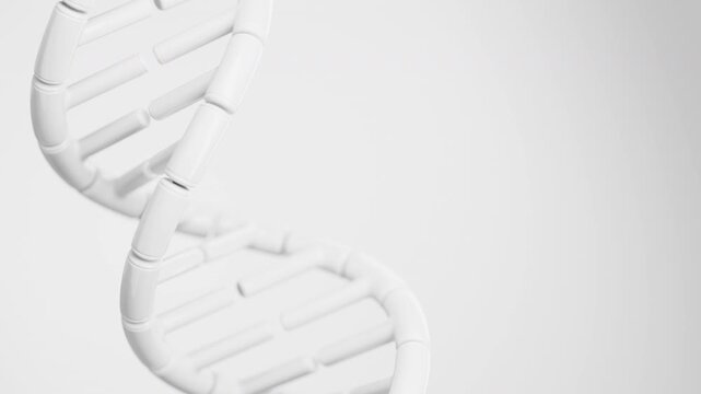 Abstract segmented white DNA double helix rotating on a clean light background in a dramatic diagonal close-up. Minimal genome science animation and conceptual genetics design. 4K UHD.