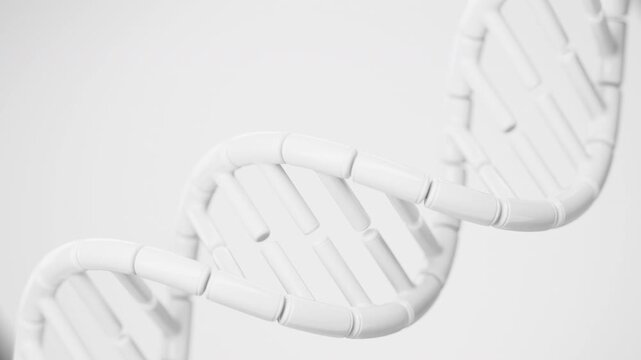 Abstract segmented white DNA double helix rotating on a clean light background in a dynamic centered close-up. Minimal genome science animation and conceptual genetics design. 4K UHD.
