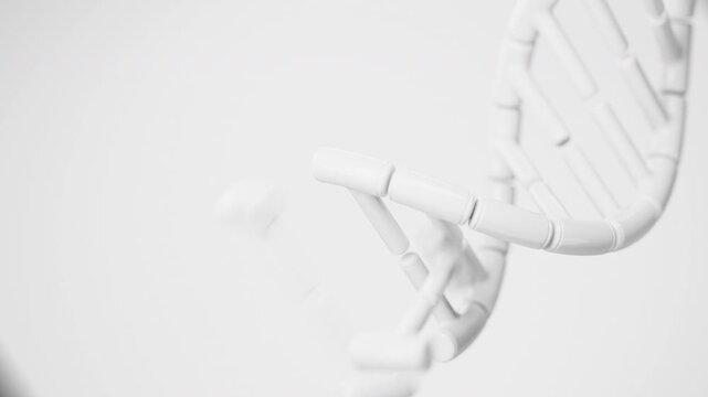 Abstract white DNA double helix assembling from separate molecular elements in a dynamic centered close-up. Futuristic genome formation science animation on a clean background. 4K UHD.