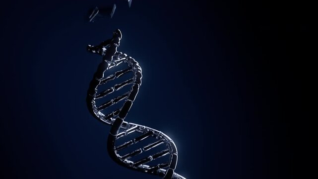 Abstract glass DNA double helix forming from flying fragments in dark space in a dramatic diagonal close-up. Mysterious futuristic genome dispersion and genetics science animation. 4K UHD.