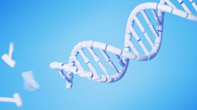 Abstract white DNA double helix forming from flying fragments on blue in a dynamic centered close-up. Futuristic genome dispersion and conceptual genetics science animation. 4K UHD.
