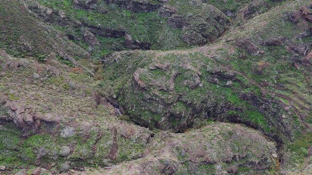 A drone pushes in over a verdant, rugged mountain valley on Tenerife. Lush green vegetation clings to rocky cliffs and hillsides, revealing small streams near Playa de Tamadite.