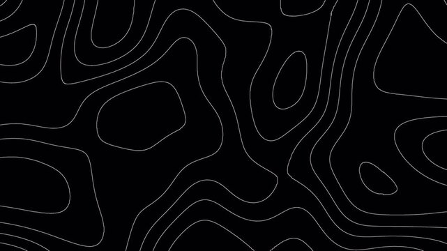 Abstract digital topography lines pattern dynamic waves motion background footage video. topography map  lines animated background 4k.