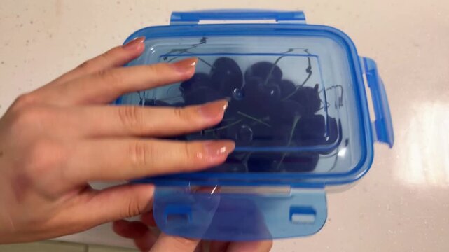 Woman opening a lunch box with fresh ripe cherries and picking one delicious fruit for a healthy sweet snack, enjoying a natural organic diet and vitamin rich food