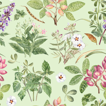 Botanical floral watercolor pattern on green background. Detailed hand drawn illustrations of flowering tobacco, rockrose, pistachio, fenugreek, and patchouli. Fragrant plants rich pattern for fabric