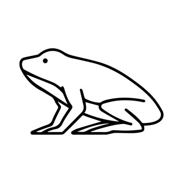 Minimalist Frog Line Art Icon