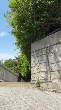 Walkway beside a green stone retaining wall covered with summer greenery, vertical video