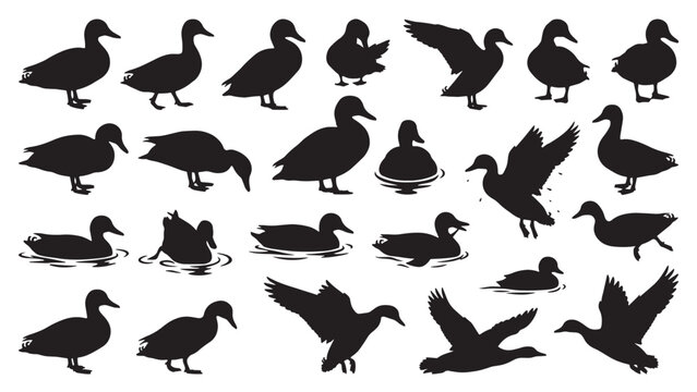 Duck Silhouette Bundle | 20 Black Vector Duck Poses Collection