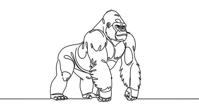 Gorilla illustration on white background.