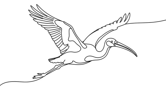 Flying heron illustration on white background.