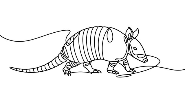 Cute armadillo illustration on white background.