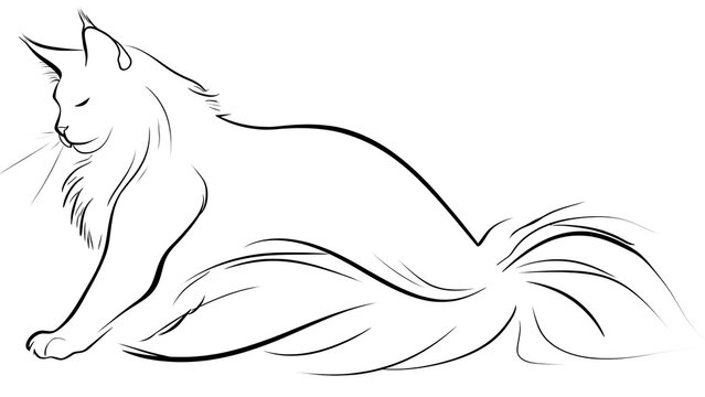 Elegant cat line art illustration white background.