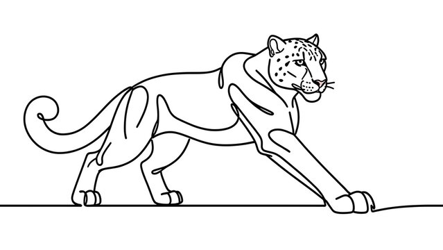 Black and white leopard illustration on white background.